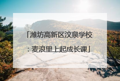 潍坊高新区汶泉学校：麦浪里上起成长课
