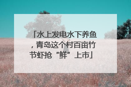 水上发电水下养鱼，青岛这个村百亩竹节虾抢“鲜”上市