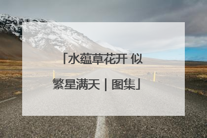 水蕴草花开 似繁星满天｜图集