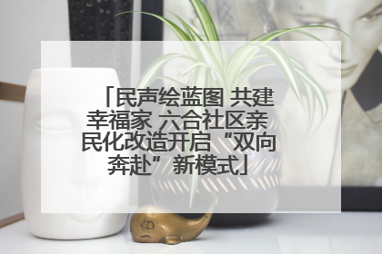 民声绘蓝图 共建幸福家 六合社区亲民化改造开启“双向奔赴”新模式