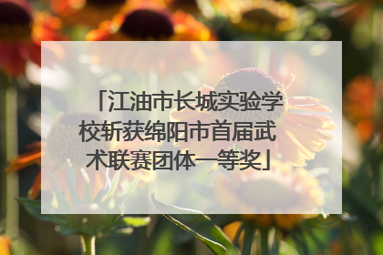 江油市长城实验学校斩获绵阳市首届武术联赛团体一等奖