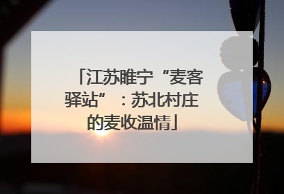 江苏睢宁“麦客驿站”：苏北村庄的麦收温情