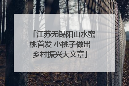 江苏无锡阳山水蜜桃首发 小桃子做出乡村振兴大文章