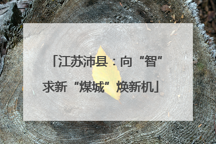 江苏沛县：向“智”求新“煤城”焕新机