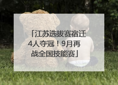 江苏选拔赛宿迁4人夺冠！9月再战全国技能赛
