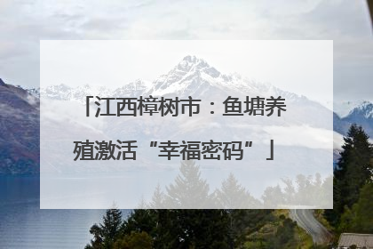 江西樟树市：鱼塘养殖激活“幸福密码”