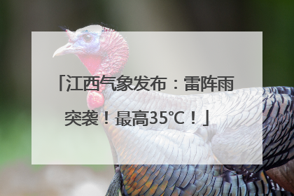 江西气象发布：雷阵雨突袭！最高35℃！