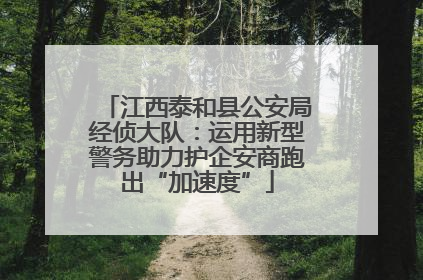 江西泰和县公安局经侦大队：运用新型警务助力护企安商跑出“加速度”