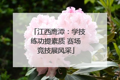 江西鹰潭：学技练功提素质 赛场竞技展风采