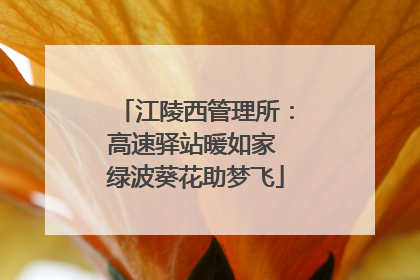 江陵西管理所：高速驿站暖如家 绿波葵花助梦飞