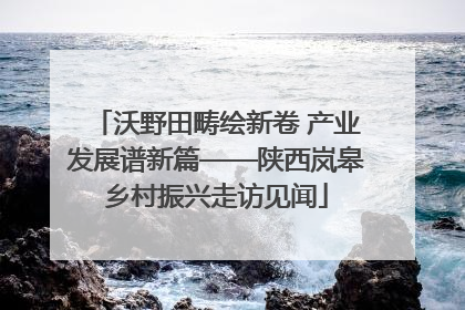 沃野田畴绘新卷 产业发展谱新篇——陕西岚皋乡村振兴走访见闻