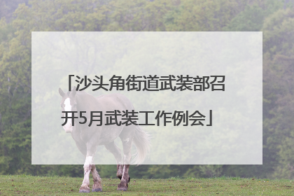 沙头角街道武装部召开5月武装工作例会
