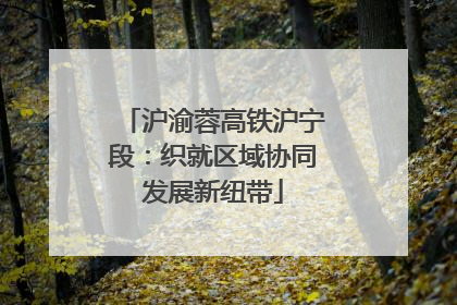 沪渝蓉高铁沪宁段：织就区域协同发展新纽带