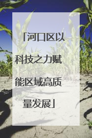 河口区以科技之力赋能区域高质量发展