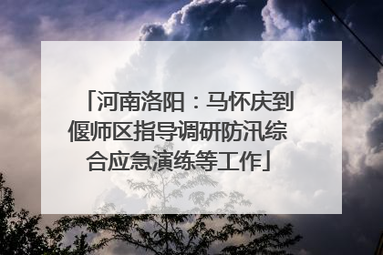 河南洛阳：马怀庆到偃师区指导调研防汛综合应急演练等工作