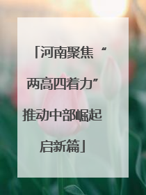 河南聚焦“两高四着力”推动中部崛起启新篇