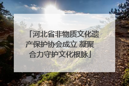 河北省非物质文化遗产保护协会成立 凝聚合力守护文化根脉