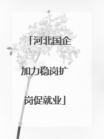 河北国企加力稳岗扩岗促就业