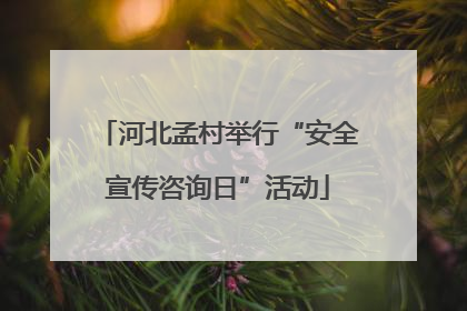 河北孟村举行“安全宣传咨询日”活动