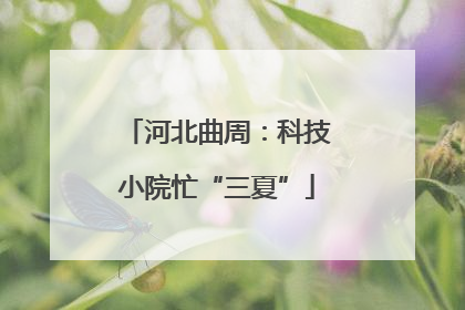河北曲周：科技小院忙“三夏”