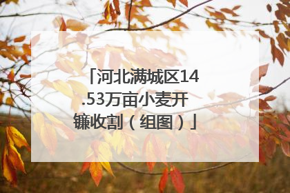 河北满城区14.53万亩小麦开镰收割（组图）