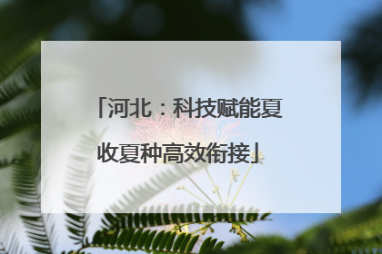 河北：科技赋能夏收夏种高效衔接