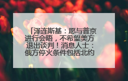 泽连斯基：愿与普京进行会晤，不希望美方退出谈判！消息人士：俄方停火条件包括北约“书面”保证不东扩