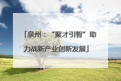 泉州：“聚才引智”助力战新产业创新发展