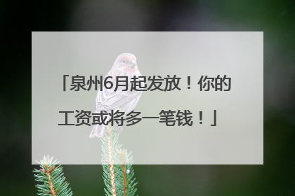 泉州6月起发放！你的工资或将多一笔钱！