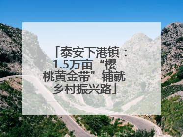 泰安下港镇：1.5万亩“樱桃黄金带”铺就乡村振兴路