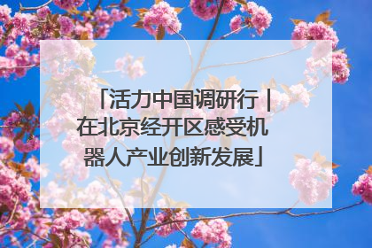 活力中国调研行｜在北京经开区感受机器人产业创新发展