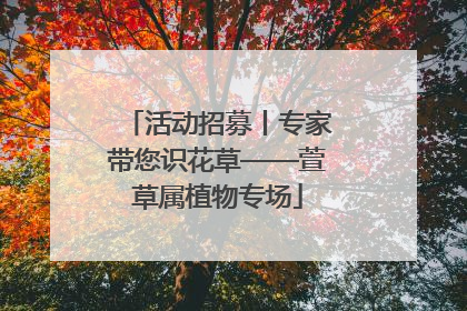 活动招募丨专家带您识花草——萱草属植物专场