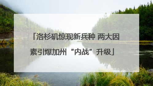 洛杉矶惊现新兵种 两大因素引爆加州“内战”升级