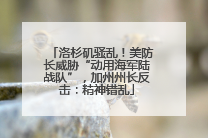 洛杉矶骚乱！美防长威胁“动用海军陆战队”，加州州长反击：精神错乱