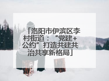 洛阳市伊滨区李村街道：“党建+公约”打造共建共治共享新格局
