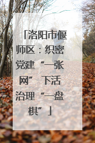洛阳市偃师区：织密党建“一张网” 下活治理“一盘棋”