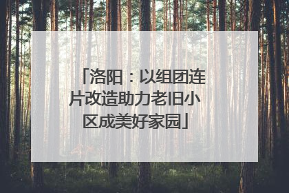 洛阳：以组团连片改造助力老旧小区成美好家园