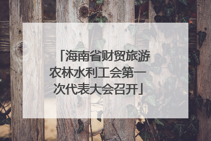 海南省财贸旅游农林水利工会第一次代表大会召开