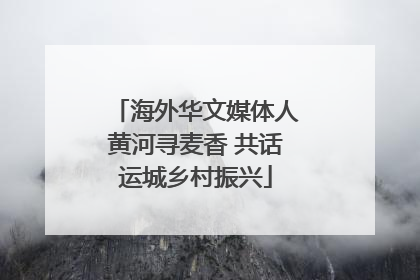 海外华文媒体人黄河寻麦香 共话运城乡村振兴