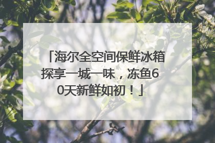 海尔全空间保鲜冰箱探享一城一味，冻鱼60天新鲜如初！