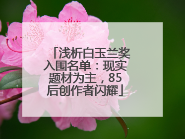 浅析白玉兰奖入围名单：现实题材为主，85后创作者闪耀