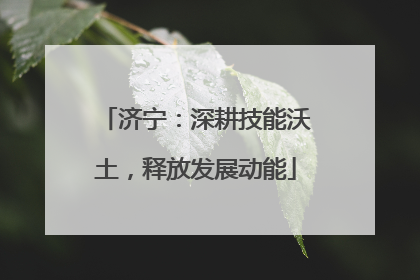济宁：深耕技能沃土，释放发展动能