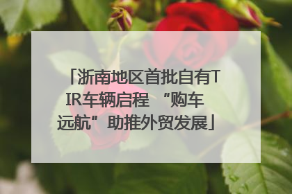 浙南地区首批自有TIR车辆启程 “购车远航”助推外贸发展