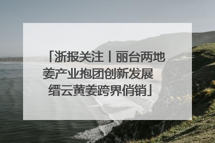 浙报关注丨丽台两地姜产业抱团创新发展 缙云黄姜跨界俏销