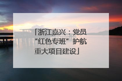 浙江嘉兴：党员“红色专班”护航重大项目建设
