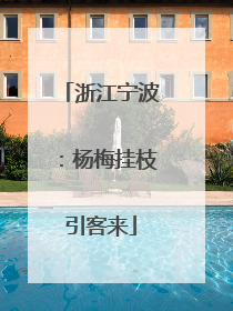 浙江宁波：杨梅挂枝引客来