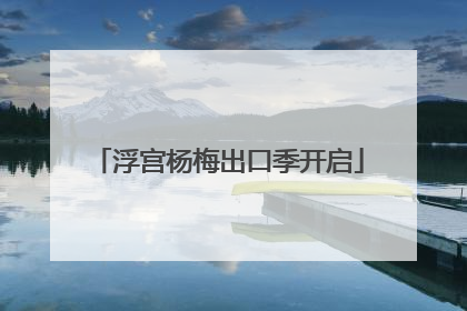 浮宫杨梅出口季开启