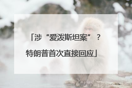 涉“爱泼斯坦案”？特朗普首次直接回应