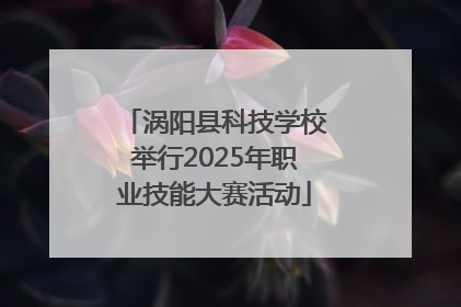 涡阳县科技学校举行2025年职业技能大赛活动