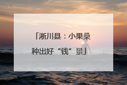淅川县：小果桑种出好“钱”景